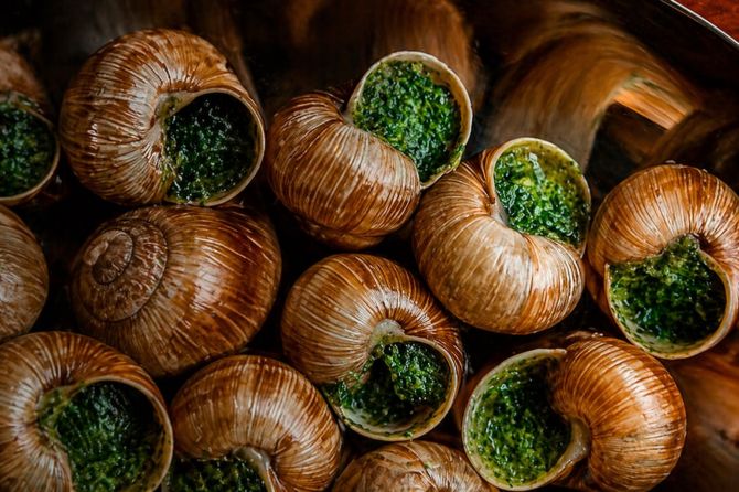 «Шануар»: карнавал улиток