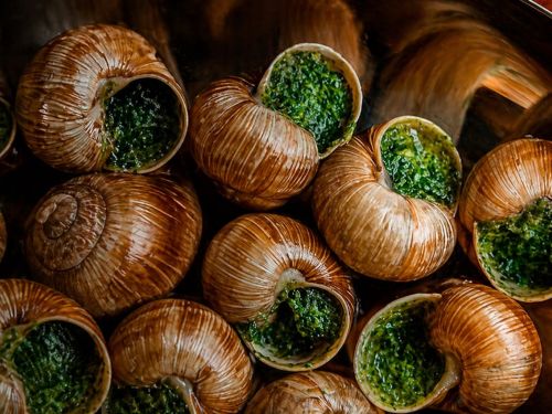 «Шануар»: карнавал улиток